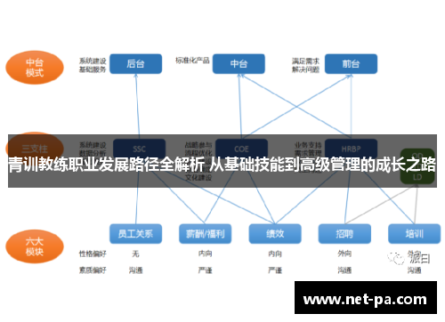 青训教练职业发展路径全解析 从基础技能到高级管理的成长之路