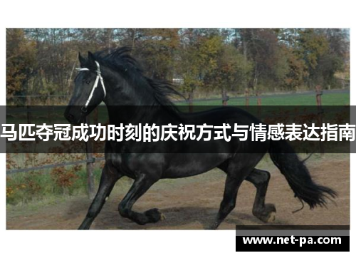 马匹夺冠成功时刻的庆祝方式与情感表达指南