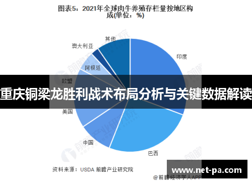 重庆铜梁龙胜利战术布局分析与关键数据解读 重庆铜梁龙胜利战术布局分析与关键数据解读