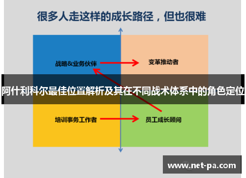 阿什利科尔最佳位置解析及其在不同战术体系中的角色定位