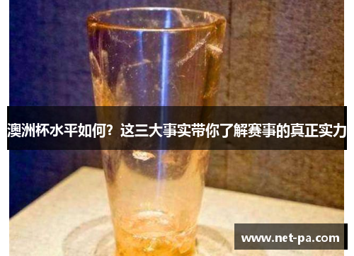 澳洲杯水平如何?这三大事实带你了解赛事的真正实力 澳洲杯水平如何?这三大事实带你了解赛事的真正实力