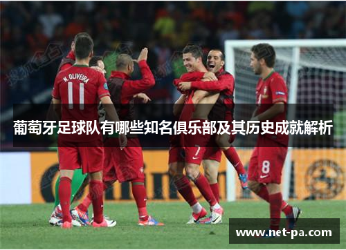 葡萄牙足球队有哪些知名俱乐部及其历史成就解析
