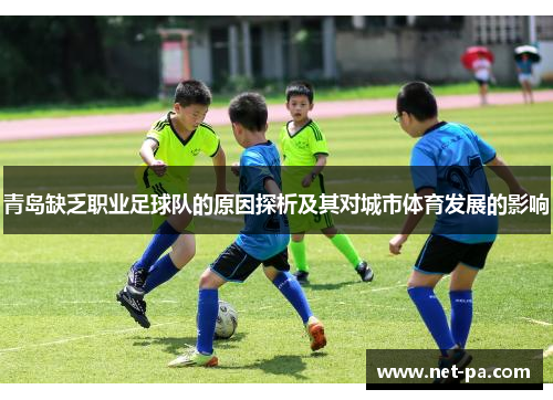 青岛缺乏职业足球队的原因探析及其对城市体育发展的影响