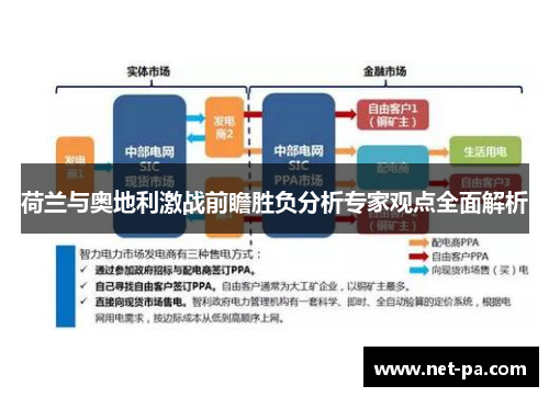 荷兰与奥地利激战前瞻胜负分析专家观点全面解析 荷兰与奥地利激战前瞻胜负分析专家观点全面解析