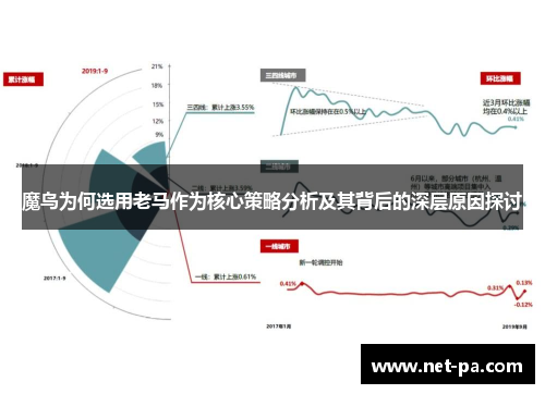 魔鸟为何选用老马作为核心策略分析及其背后的深层原因探讨