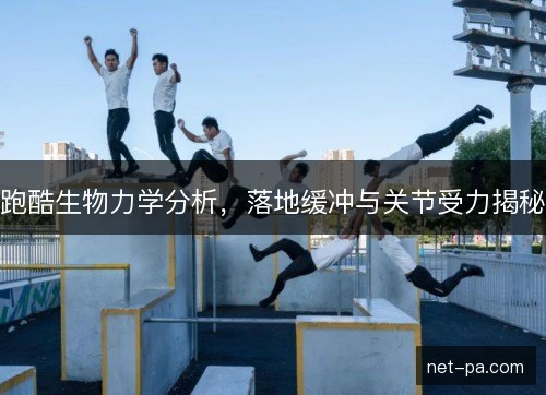 跑酷生物力学分析,落地缓冲与关节受力揭秘 跑酷生物力学分析,落地缓冲与关节受力揭秘