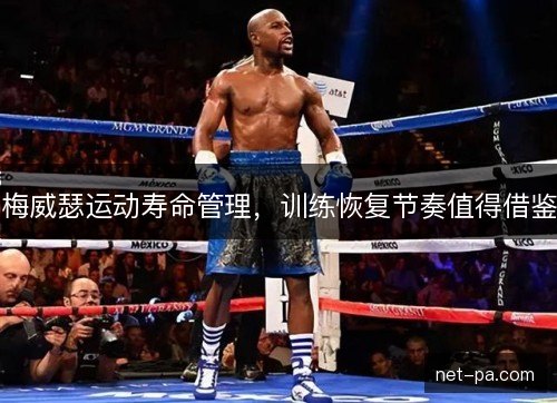 梅威瑟运动寿命管理，训练恢复节奏值得借鉴